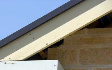 Sykehouse fascia repairs