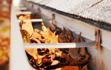 Sykehouse gutter cleaning companies